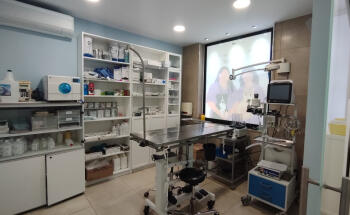 Clínica Veterinària Providència