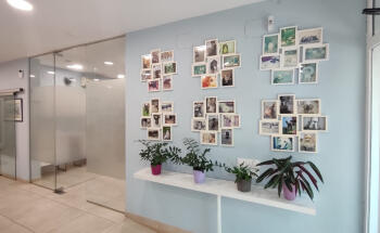 Clínica Veterinària Providència