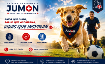 CLINICA VETERINARIA JUMON