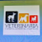 VETERINARIA CASTILLO