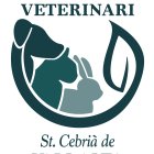 Veterinari St Cebrià de Vallalta