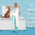 Eliseo Veterinario