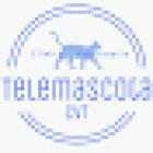 Telemascota Vecindario