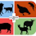 Consultorio Veterinario 