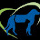 Centro Integral Veterinario