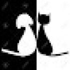 ESTETICA CANINA LOS PELUDOS MASCOTAS