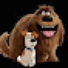 Grooming pet's salon