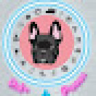 Veterinaria y Estetica Canina 