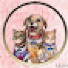 Centro Veterinário Animal Time