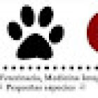 Pet Care Clínica Veterinaria