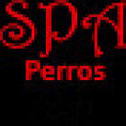 SPA Perros