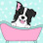 Pettilu Pet Salon & Health