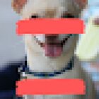 Veterinaria Versalles