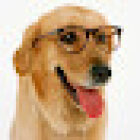 Chipican Veterinaria