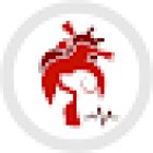 Cardiología Veterinaria de Occidente