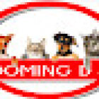 Veterinaria y estética canina Grooming D&M