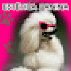 Animales la Jungla S.A. de C.V.