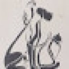 Veterinaria La Cotorra