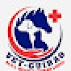 Clínica veterinaria 