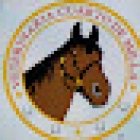 Veterinaria Cuarto de Milla