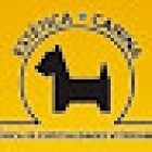 Clínica de Especialidades Veterinarias