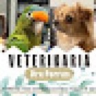 Veterinaria Dra Porras - Veterinaria para animales exóticos