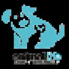 Animal Life Centro Veterinario