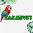 Clínica de aves Kakmovet