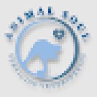 Veterinaria y estética canina 