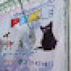 Servicios Veterinarios y Estética Canina La PEKE