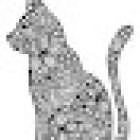 Consultorio Veterinario Le Chat Bleu