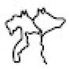 Clínica Veterinaria — M.V.Z. Tomás M.