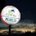 centro medico veterinario morelos