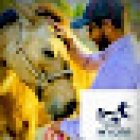 WYCAR Consultorio Veterinario