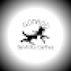 Veterinaria Y Estetica SERVICIOS CANINOS