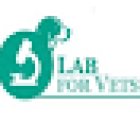 Lab for Vets