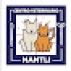 Centro Veterinario Nantli