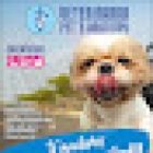 Pet's Anatomy Veterinarios