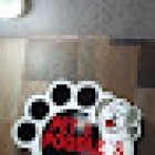 Veterinaria Pet's Poodle's