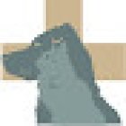 Animalium Clínica Veterinaria