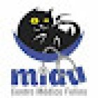 Miau centro médico felino