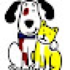 Cat and Dog Clinica Veterinaria