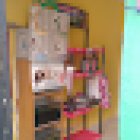 Consultorio Médico Veterinario Chacho