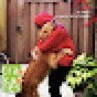 Trakares Clínica Veterinaria