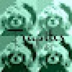 TRAPITOS FASHION DOG