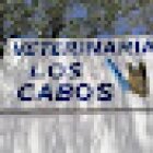 Veterinaria Los Cabos