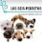 Veterinaria y estética canina 