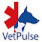 Clinica Veterinaria Vet Pulse