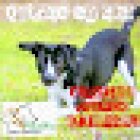 KAZOKU CENTRO VETERINARIO