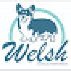 Welsh Clinica Veterinaria